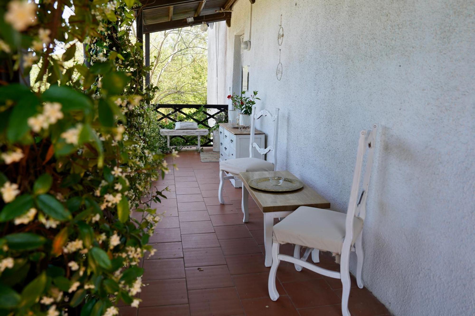 B&B Il Piccolo Paradiso Montenero (Livorno) Exterior foto